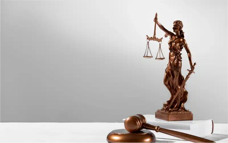 Law Firm